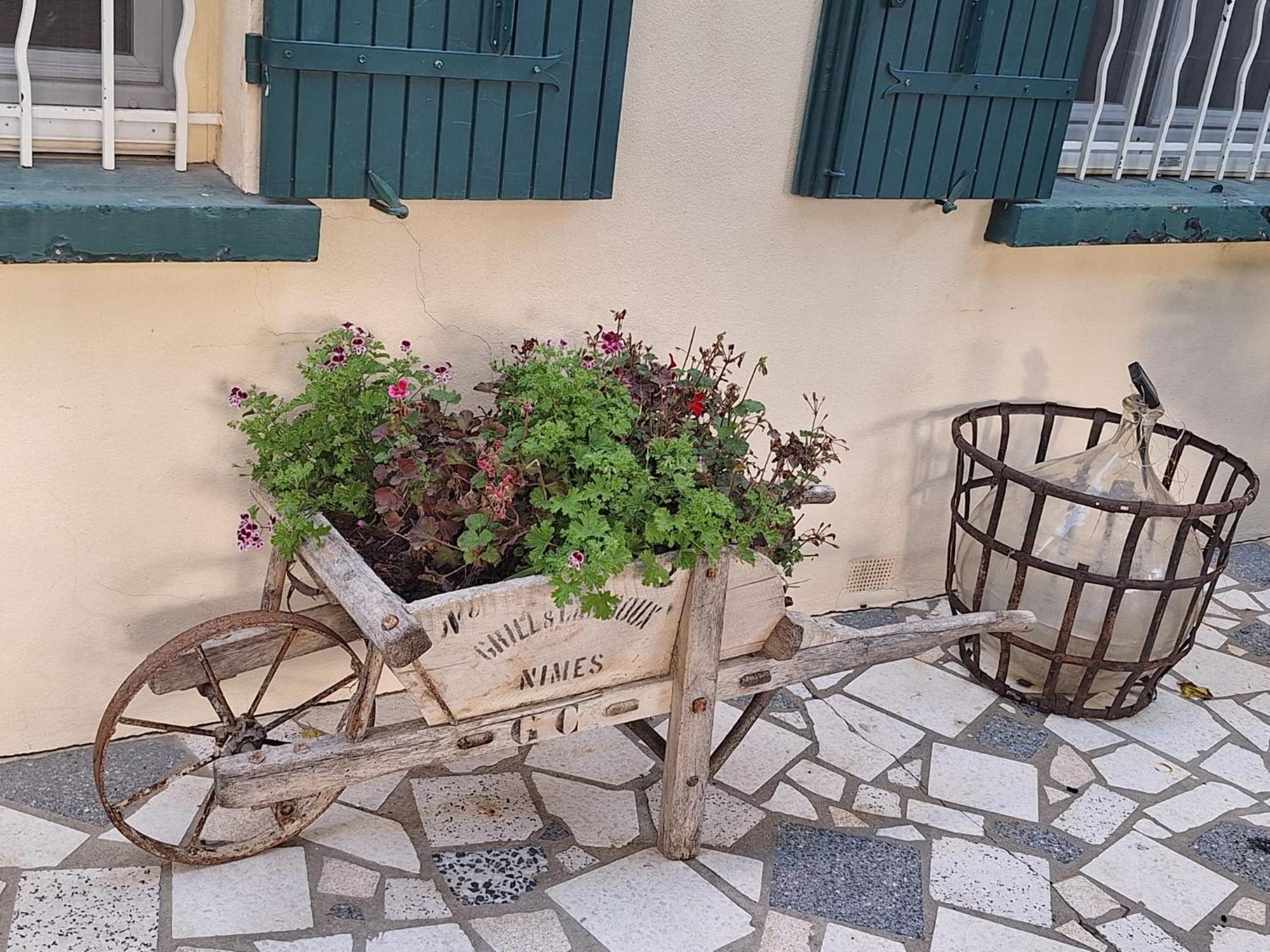 Site Paradis Rue Colibri Avignon Exterior foto