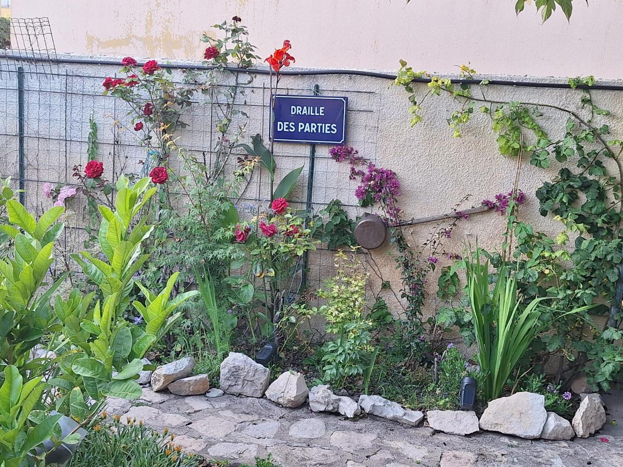 Site Paradis Rue Colibri Avignon Exterior foto